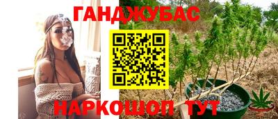 сатива Ливны