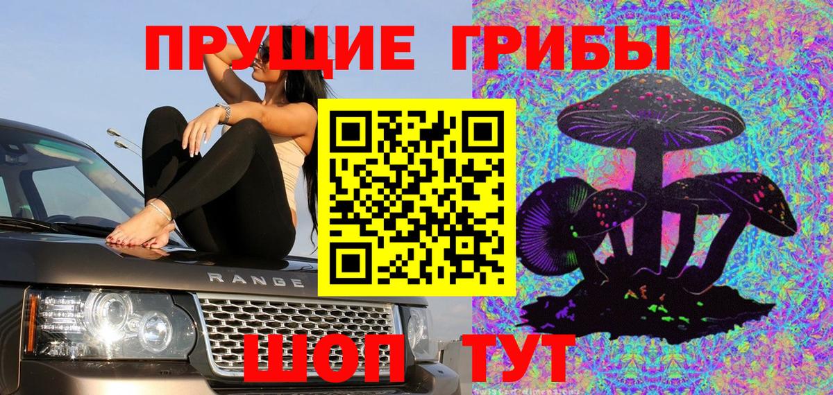 Псилоцибиновые грибы Psilocybe  Вход с VPN  Долгопрудный 